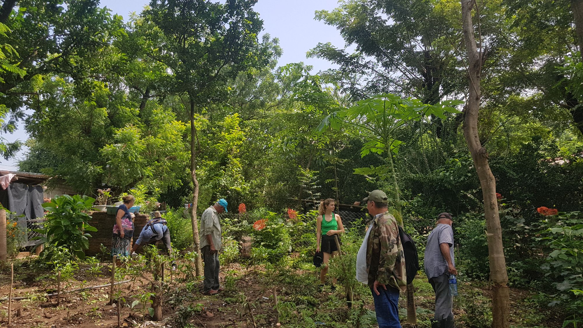 Irrigation de 14 jardins familiaux avec El Bloque