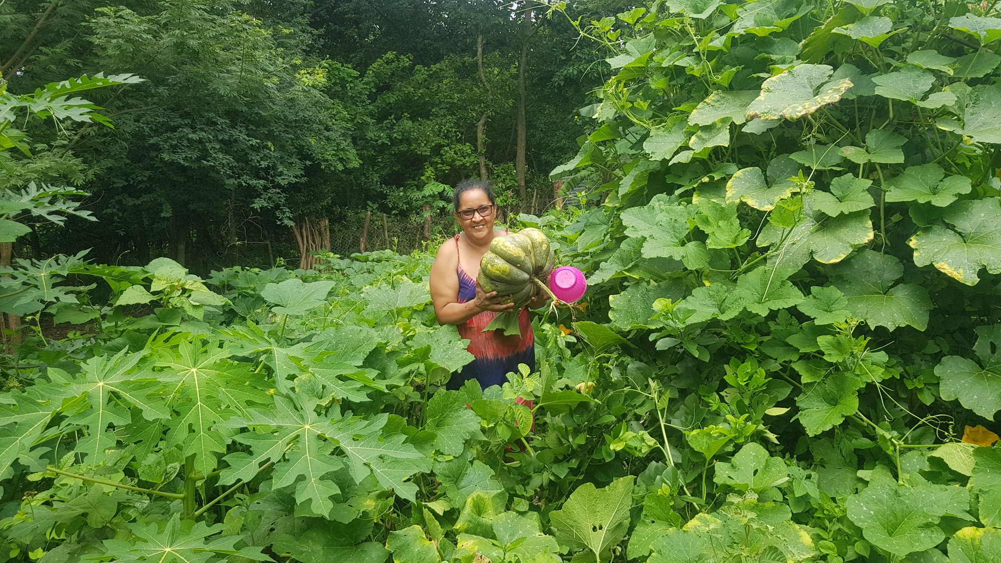 Irrigation de 14 jardins familiaux avec El Bloque