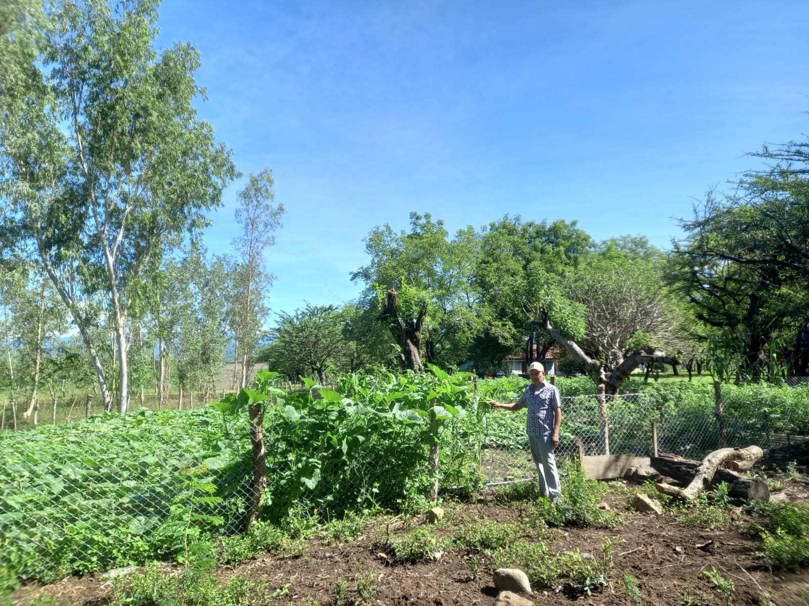 Irrigation de 14 jardins familiaux avec El Bloque