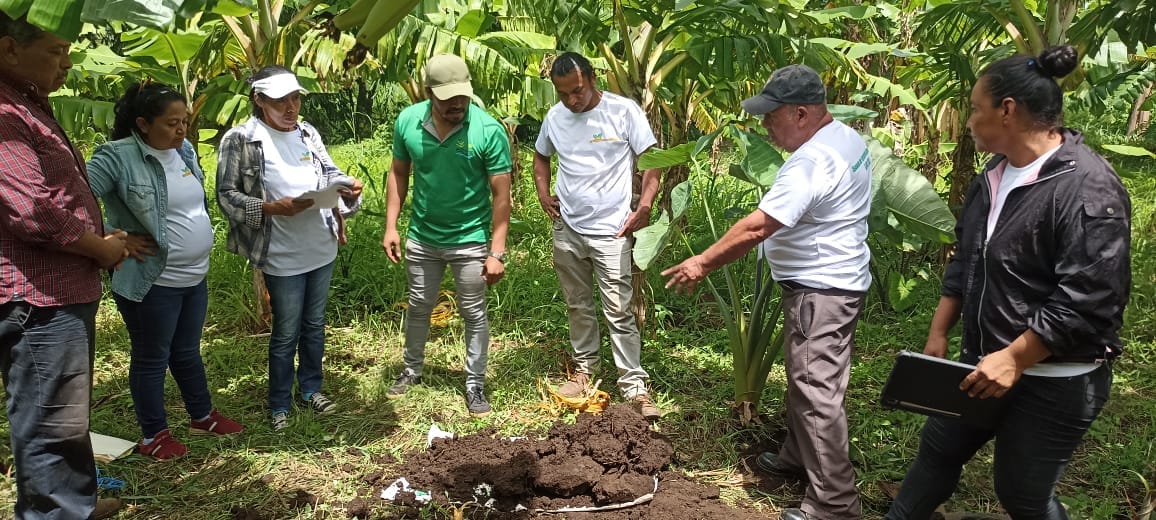 École de promotion d’agroécologie - Niveau avancé