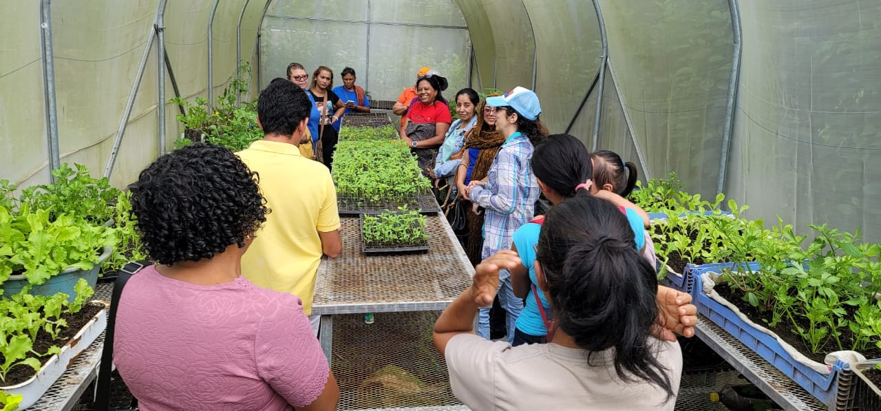 École de promotion d’agroécologie - Niveau avancé