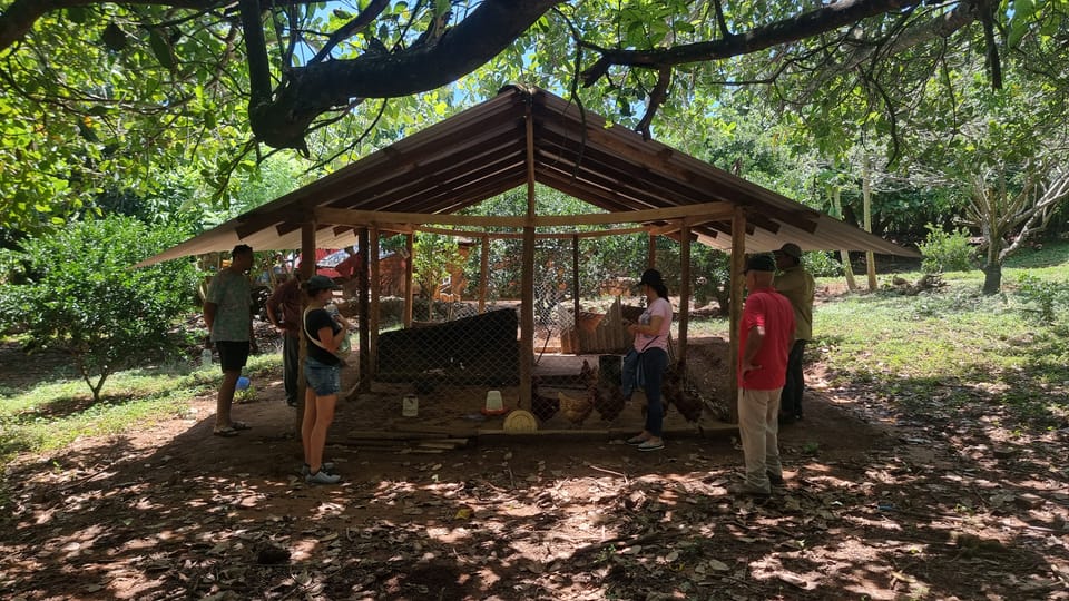 Construction de 5 poulaillers avec El Bloque